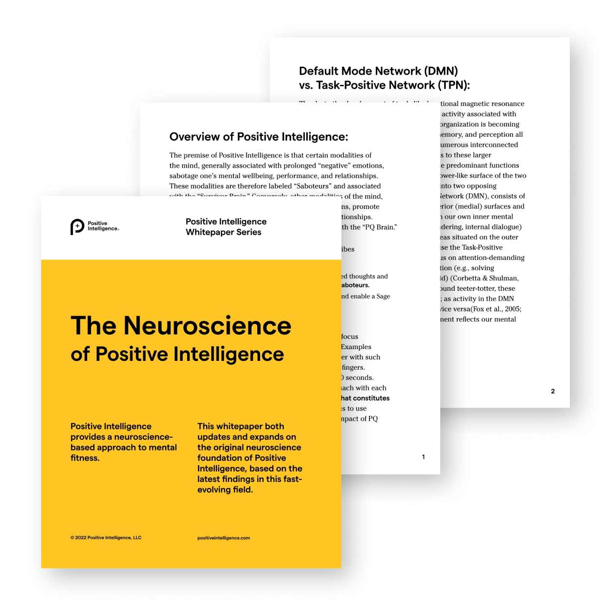 The-Neuroscience-of-Positive-Intelligence